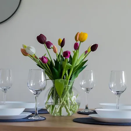 Rodzinne Typu W Mielnie Blisko Plazy Parking By Renters * Mielno (Koszalin)